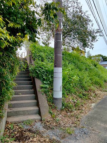 徒歩ルートの階段